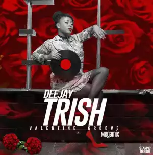 Dj Trish - Valentine Groove MegaMix